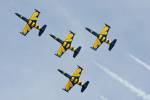 Baltic bees jet team | Zdroj: airshow.cz