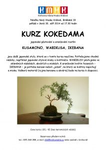 Zdroj: KMHK | Kokedama